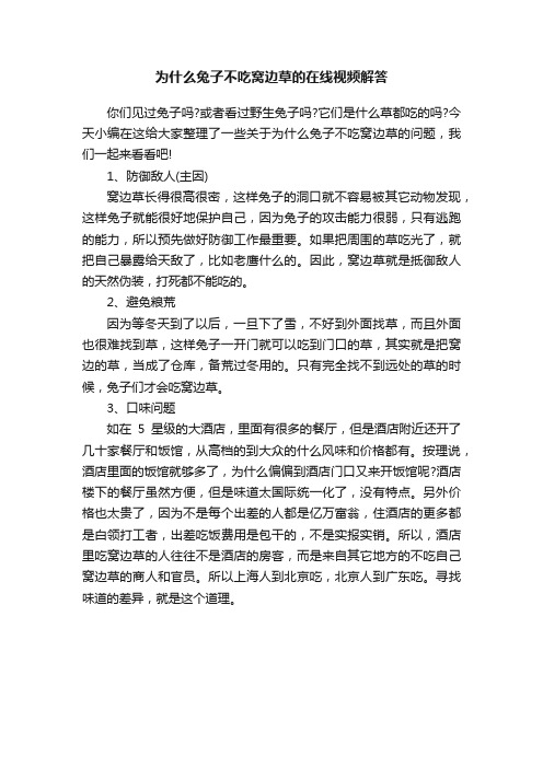 为什么兔子不吃窝边草的在线视频解答