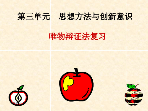 最新《生活与哲学》第三单元复习