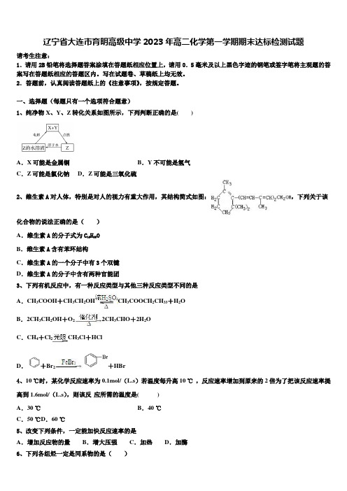 辽宁省大连市育明高级中学2023年高二化学第一学期期末达标检测试题含解析