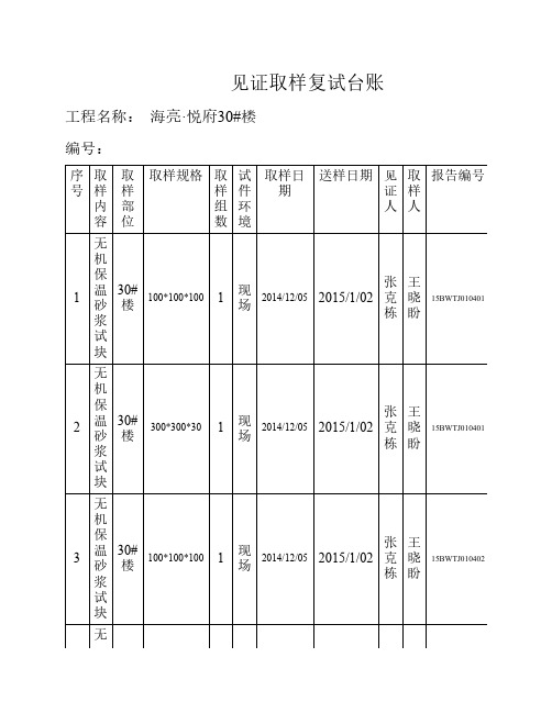 见证取样复试台账(1)