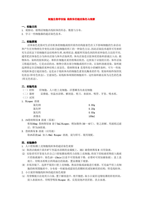 细胞生物学线粒体的超活染色与观察