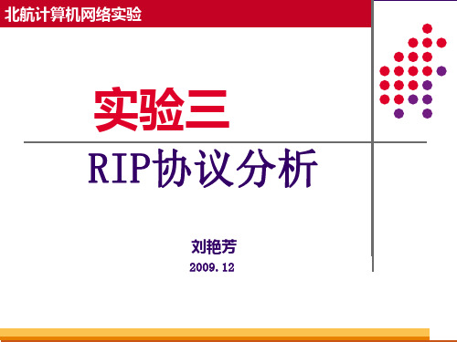 北航计算机网络实验实验三rip协议分析