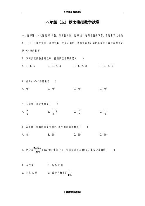 最新人教版2018-2019学年八年级数学上册期末模拟试题及答案解析(精品试题)
