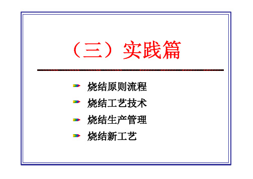 《烧结理论与工艺》第九章 烧结原料及其特性