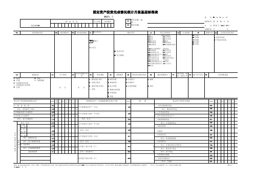 2013年固定资产投资完成情况统计月报基层标准表