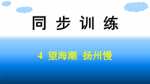 高中语文同步训练选择性必修下册精品课件 第一单元 4 望海潮 扬州慢 (2)