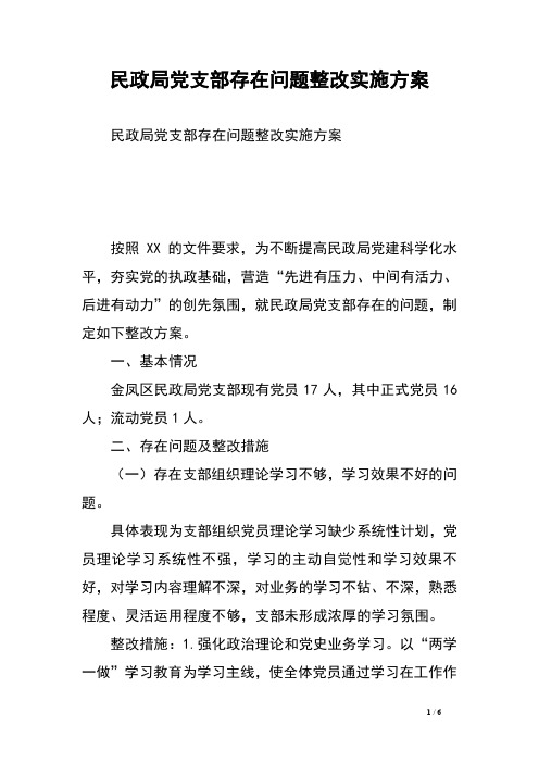 民政局党支部存在问题整改实施方案