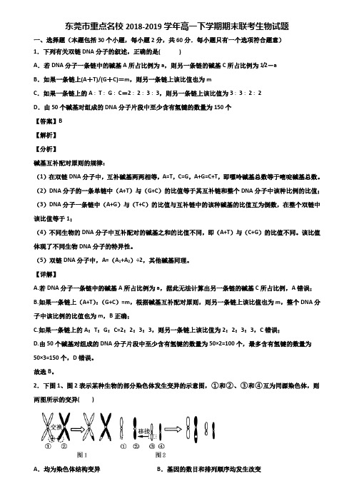 东莞市重点名校2018-2019学年高一下学期期末联考生物试题含解析