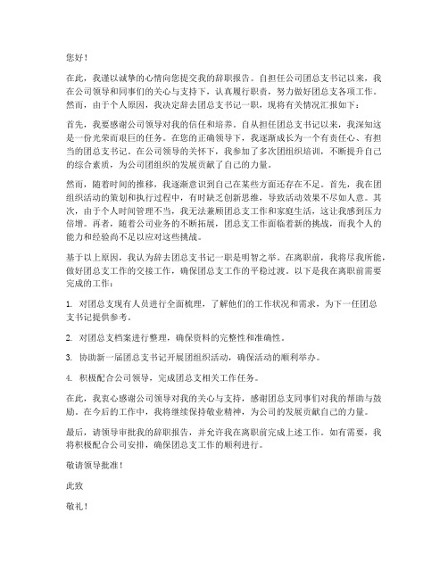 公司团总支书记辞职报告