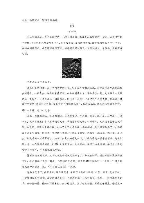 初中语文中考总复习——阅读理解(看春)含答案解析