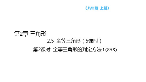 +全等三角形的判定方法+1(SAS)++++课件+-+2024—-2025学年湘教版八年级数学上册