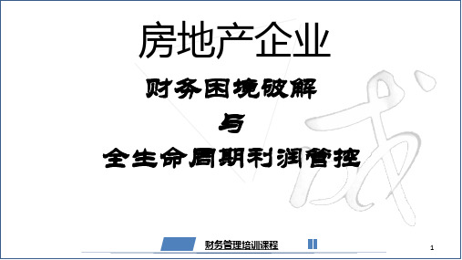 房企财务困境破解与全生命周期利润管控(194页)