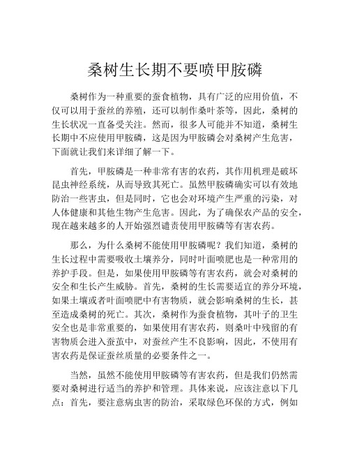 桑树生长期不要喷甲胺磷