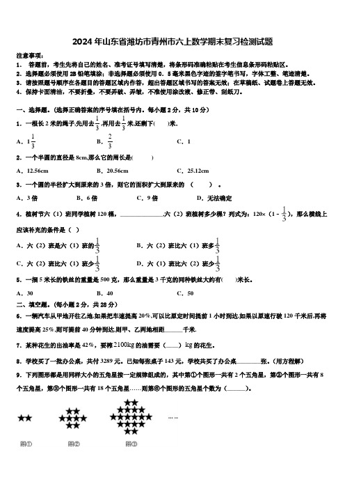 2024年山东省潍坊市青州市六上数学期末复习检测试题含解析