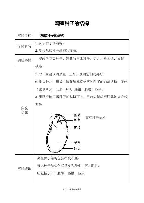 观察种子的结构实验报告