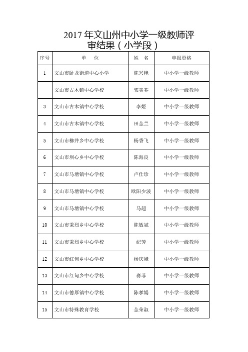 2017年文山州中小学一级教师评