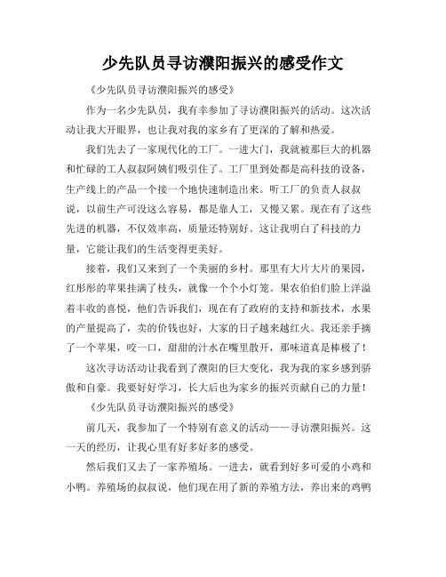 少先队员寻访濮阳振兴的感受作文