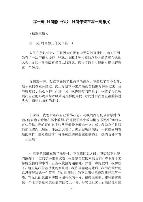 那一刻时间静止作文时间停留在那一刻作文