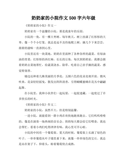 奶奶家的小院作文500字六年级