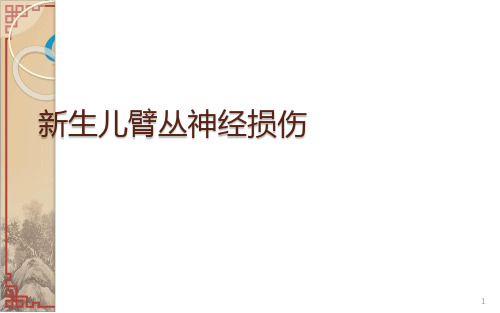 新生儿臂丛神经损伤ppt课件