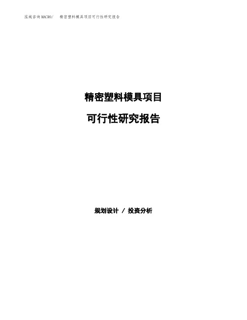 精密塑料模具项目可行性研究报告(立项备案下载可编辑)