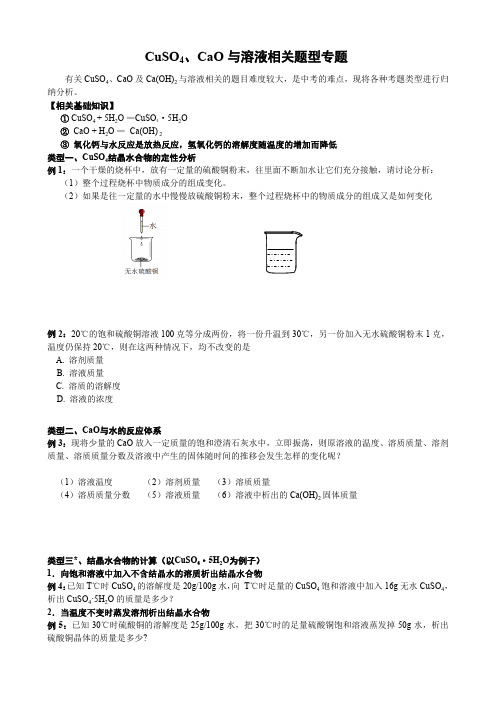 上海市中考化学专题 CuSO4、CaO 与溶液相关题型