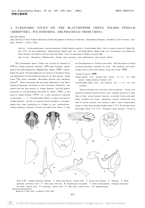 中国帕飞虱属分类研究_半翅目_蜡蝉总科_飞虱科_英文_