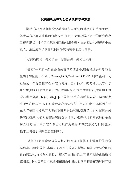 沉积微相及微相组合研究内容和方法