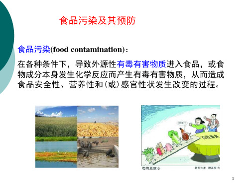 食品污染及其预防ppt课件