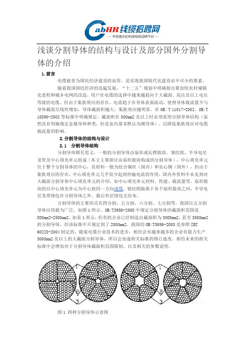 浅谈分割导体的结构与设计及部分国外分割导体的介绍