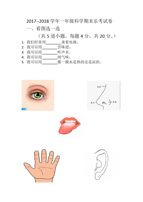 一年级科学乐考试卷