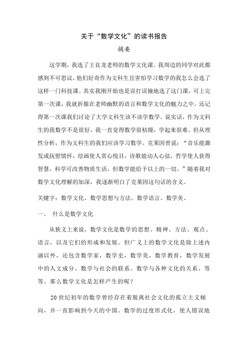 关于数学文化的读书报告