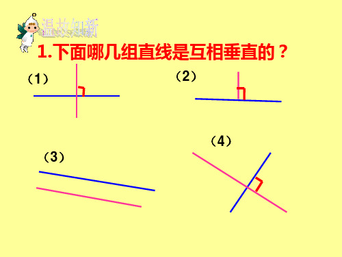 四年级画垂线课件