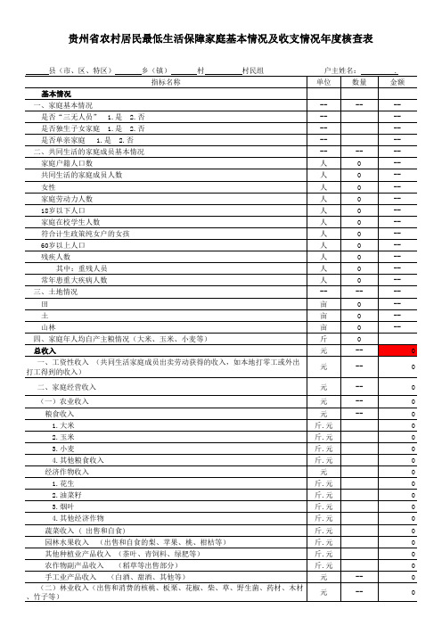 低保年度入户调查表( 套公式)