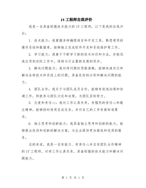 it工程师自我评价