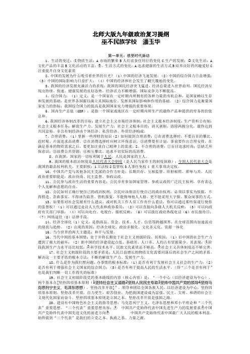 九年级政治下册复习提纲