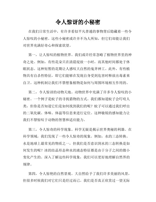 令人惊讶的小秘密