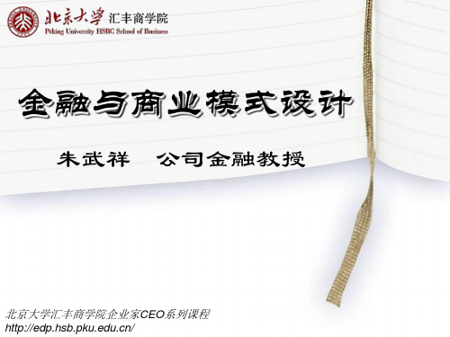 北京大学汇丰商学院教授朱武祥-金融与商业模式设计2