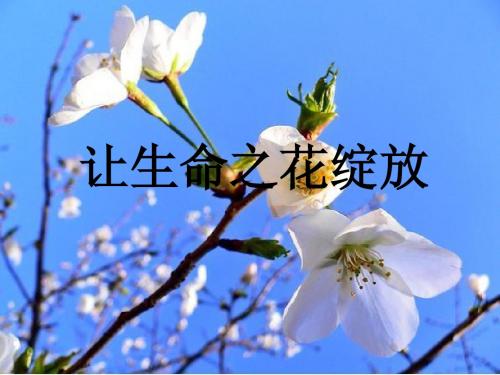 让生命之花绽放(人教版七上思品课件)