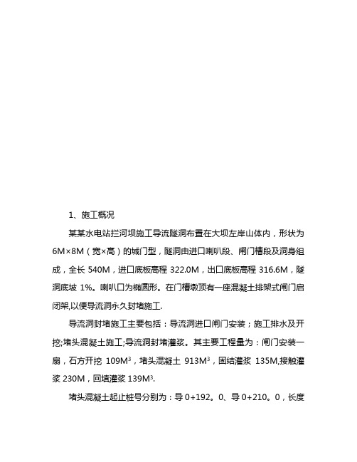 导流洞封堵方案11