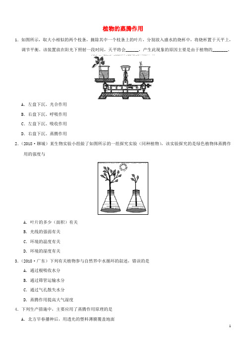 2019届中考生物专题汇编植物的蒸腾作用