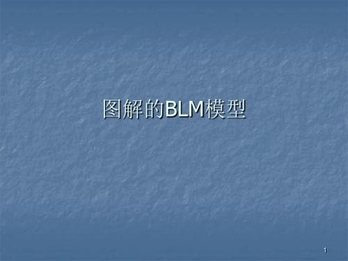 图解的BLM模型ppt课件