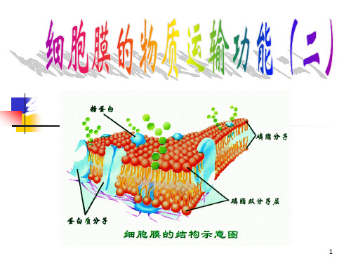 质壁分离及复原实验