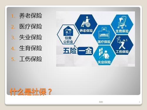 社保基础知识知识相关.ppt