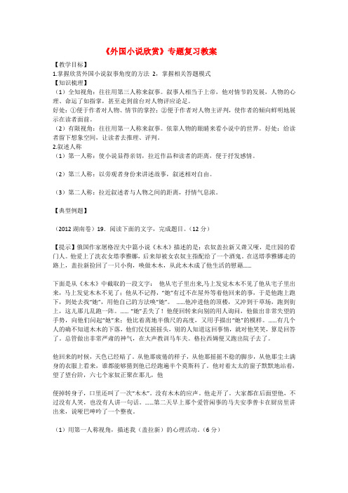 《外国小说欣赏》专题复习教案