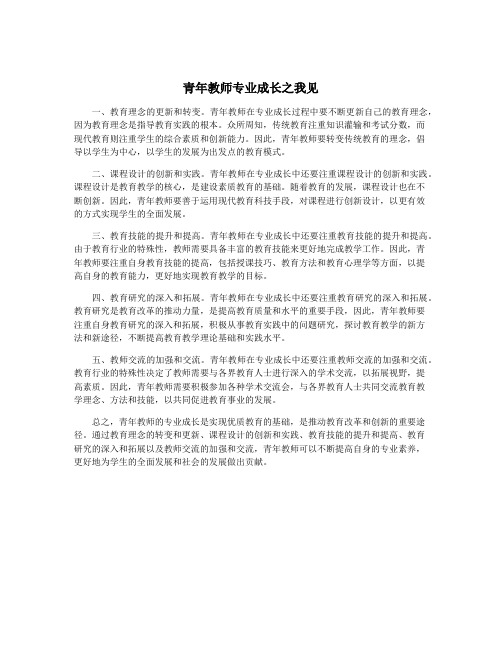 青年教师专业成长之我见