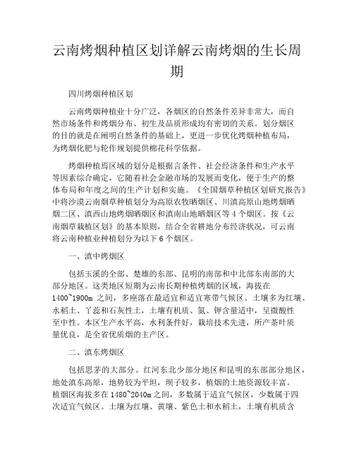 云南烤烟种植区划详解云南烤烟的生长周期