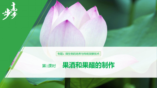 果酒果醋的制作