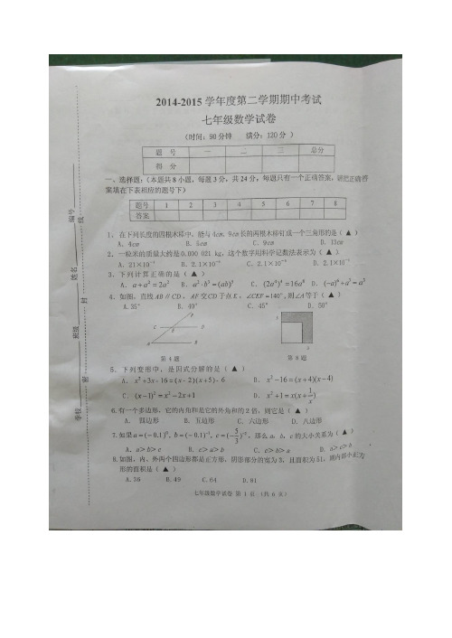 江苏省邳州市2014-2015学年七年级下学期期中考试数学试题苏科版