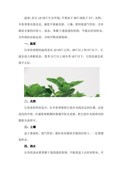 长寿花的养殖方法和注意事项